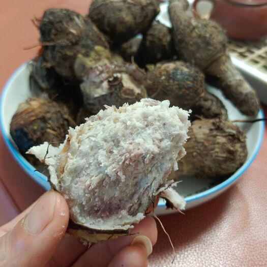 临武县新鲜香芋仔上市了，有需要的可以下手了。