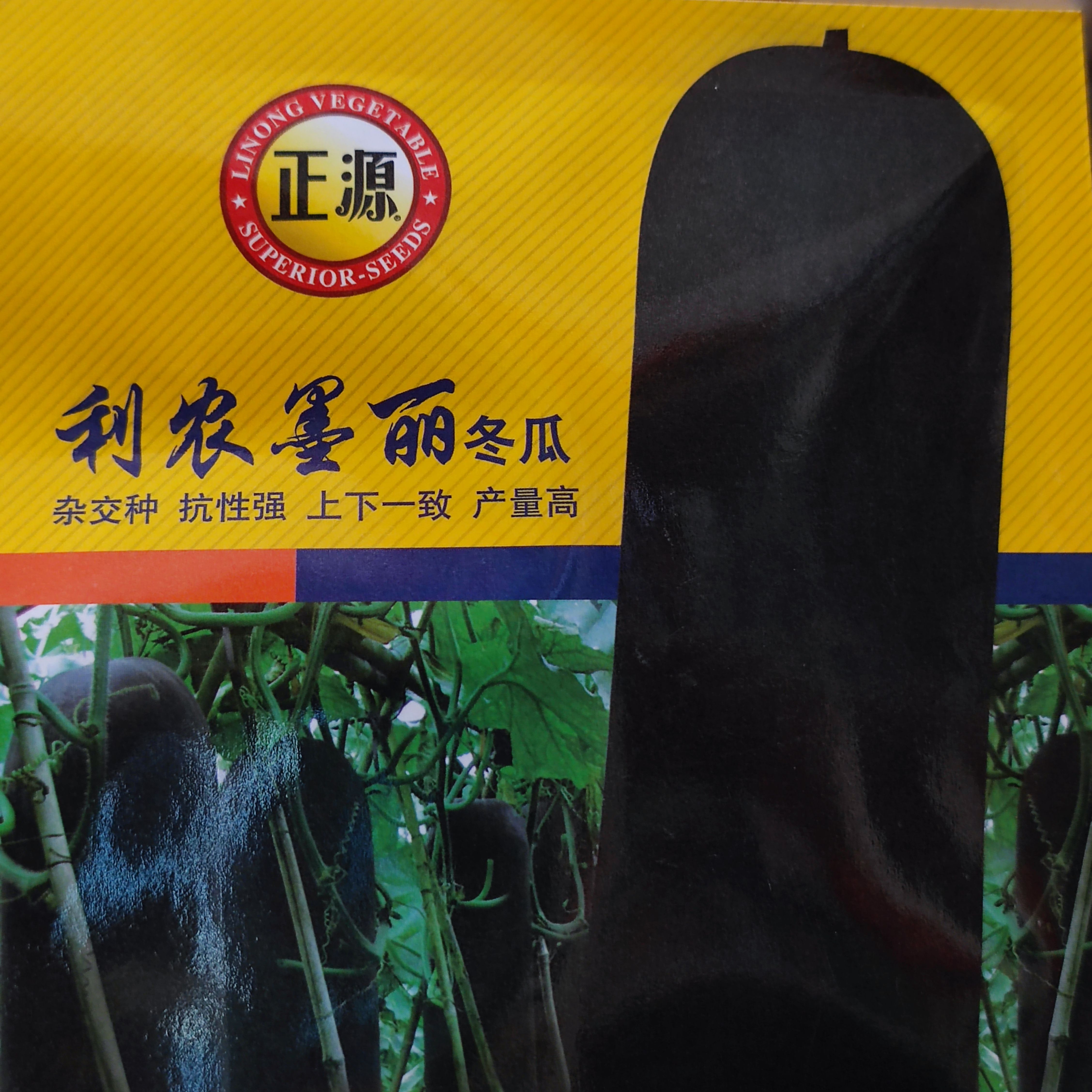 正源利農(nóng)墨麗冬瓜種子中熟黑皮冬瓜抗性強耐貯運原裝正品200粒