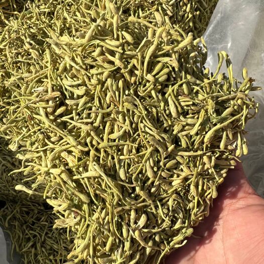 金银花 河南丘封金银花 带绒毛高品质 泡水泡茶