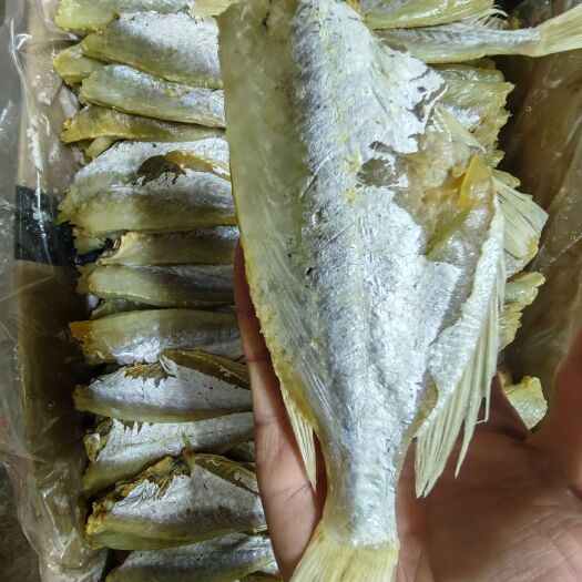北海淡干晒干鱼香浓郁扒皮海产剥皮鱼干目鱼干去头大眼鸡水产干货