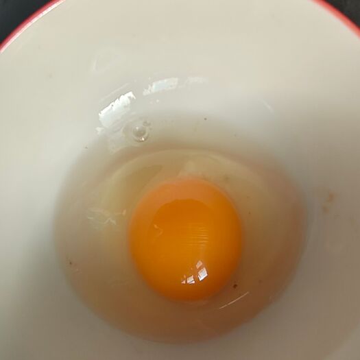 鸭绿江畔最古老品种的土鸡产的土鸡蛋