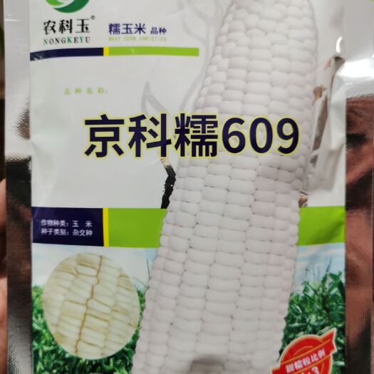 南阳国审京科糯609加甜大棒鲜食玉米种子 1：3
