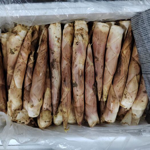 杭州各种规格，各个产地应有尽有。有量有品质。货源长期稳定。