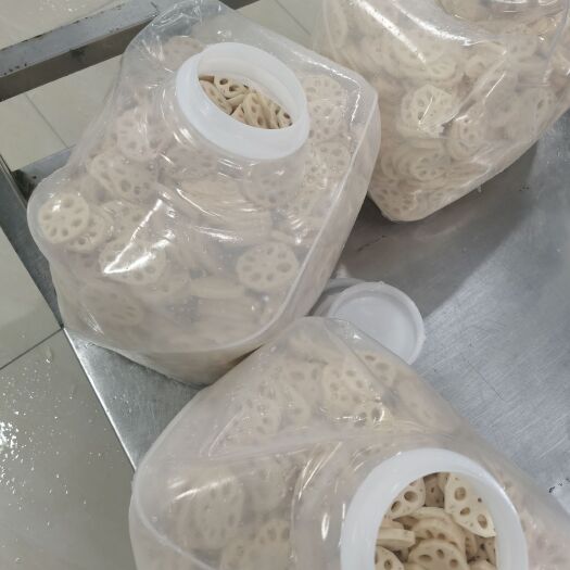 宝应县清水藕块 水煮藕块 新鲜莲藕腌制盐渍藕 盐渍莲藕块