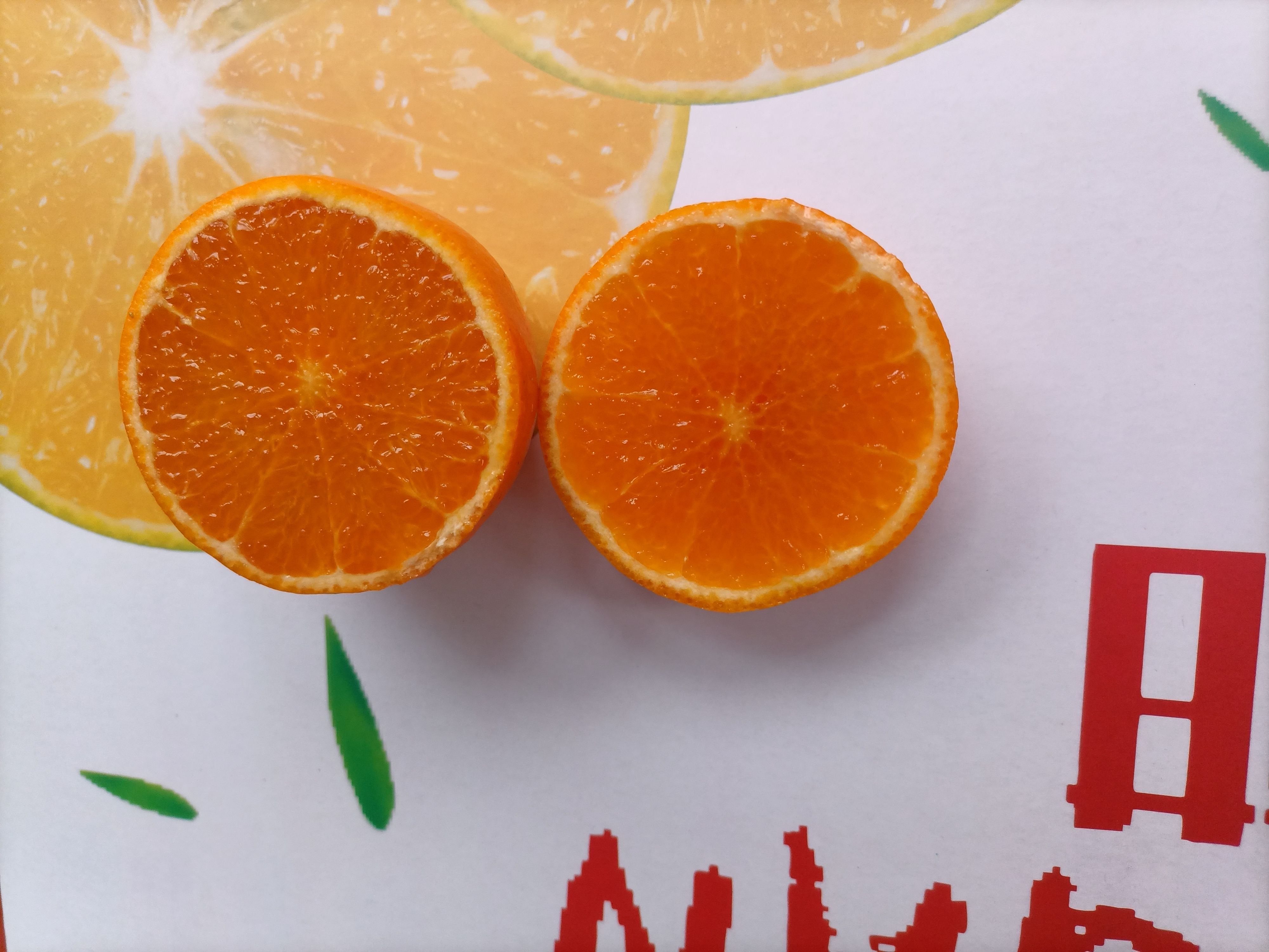 广西无籽沃柑普通沃柑上市 支持出口贸易通关支持批发一件代发