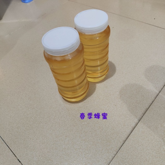 厦门自家养的蜜蜂，蜂蜜自产自销