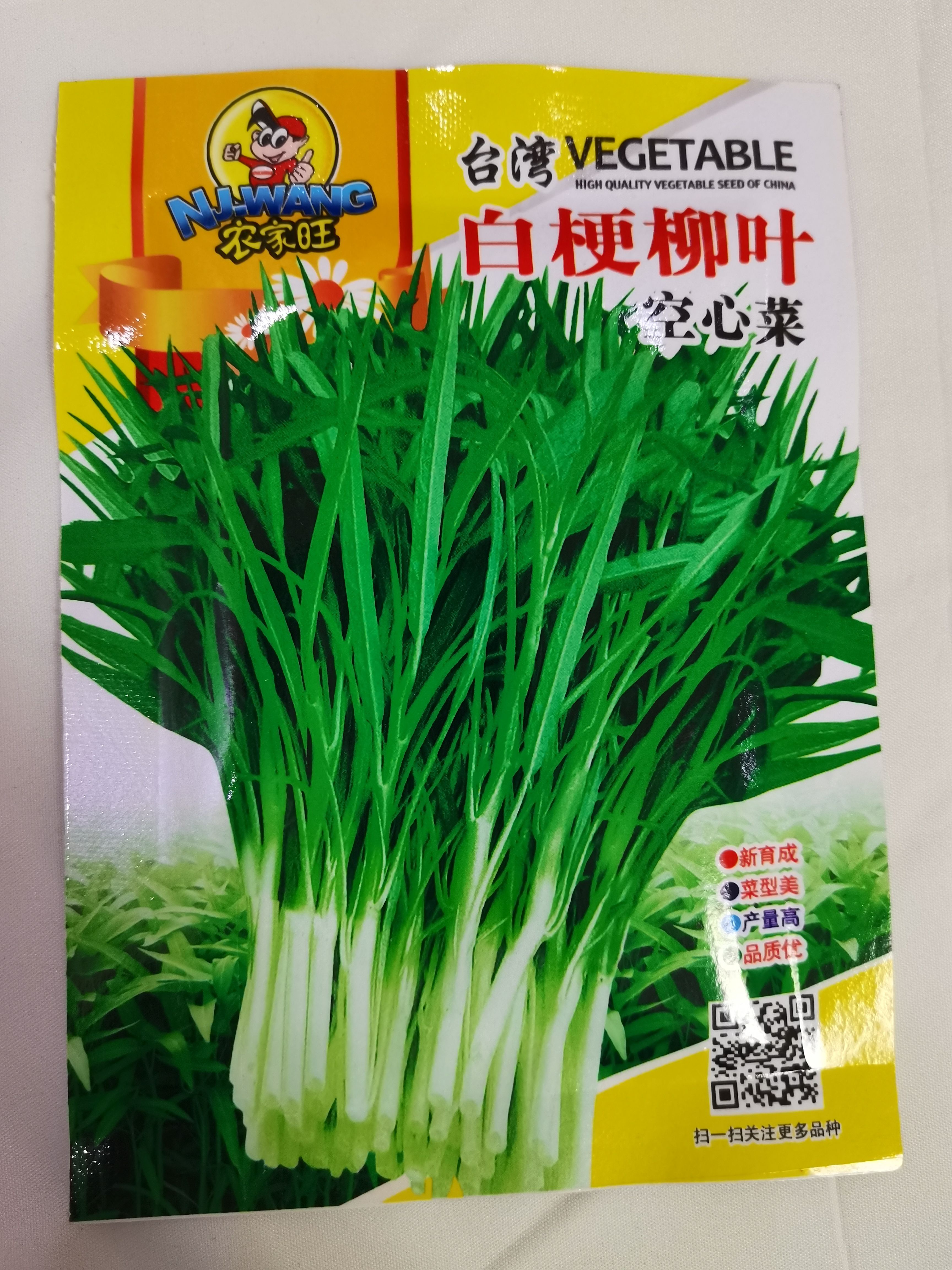  丰产白梗空心菜种子小柳叶空心菜籽白根空心菜种子竹叶菜种子