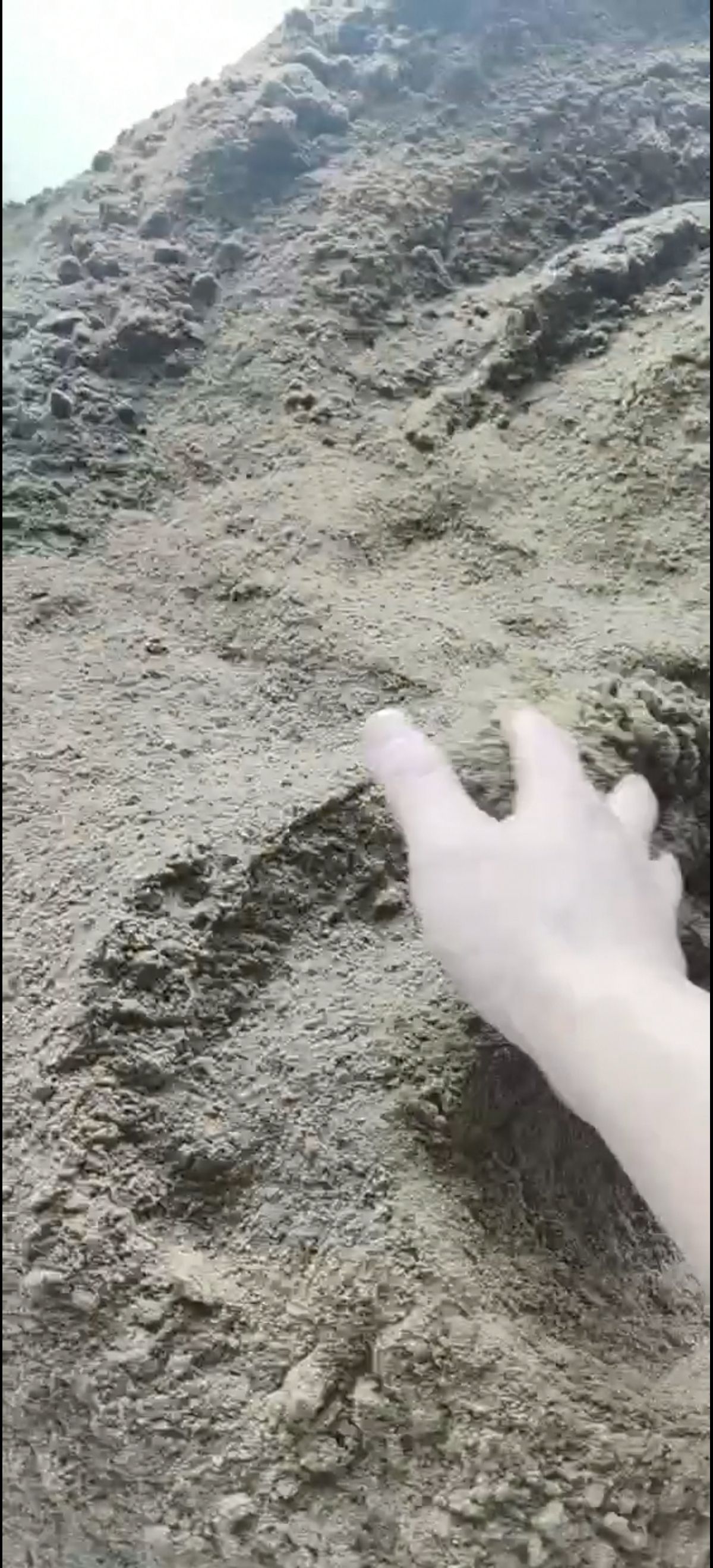 黑水虻脱脂虫粉