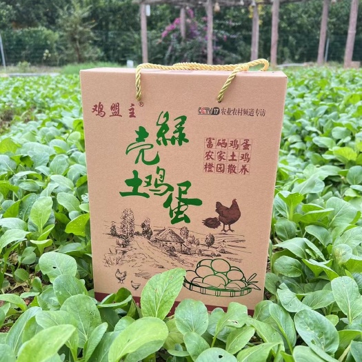 于都县富硒鸡蛋，果园散养高品质富硒绿壳.粉壳土鸡蛋顺丰包邮坏损包赔