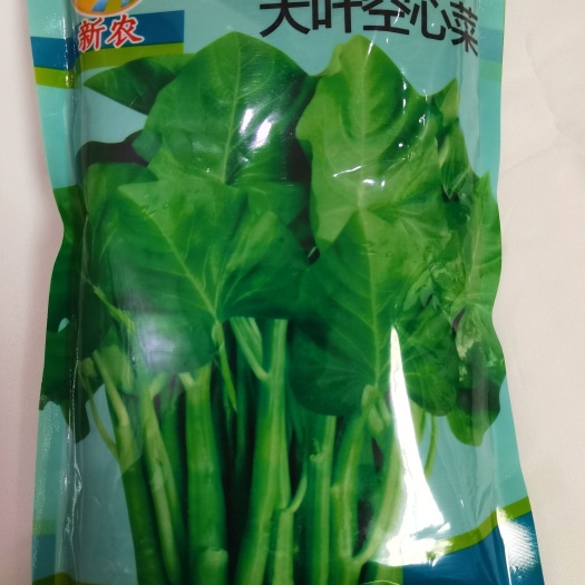 武汉大叶空心菜种子四季播种圆叶空心菜种籽柳叶空心菜种子通心菜种子