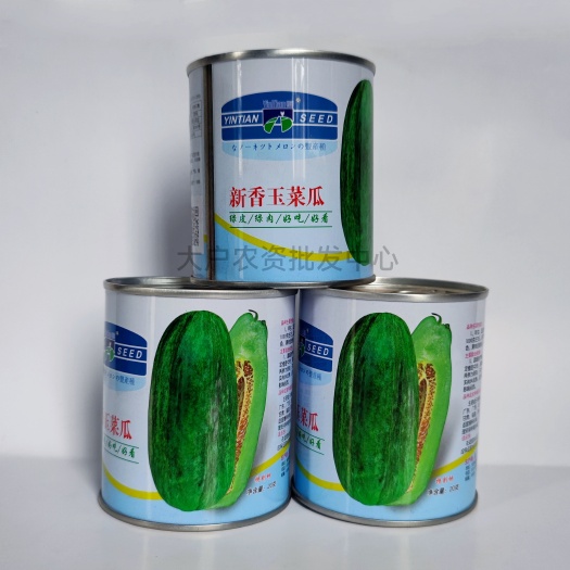 湖南本地菜瓜籽新香玉菜瓜种子绿皮绿肉早熟优质甜瓜脆瓜香瓜