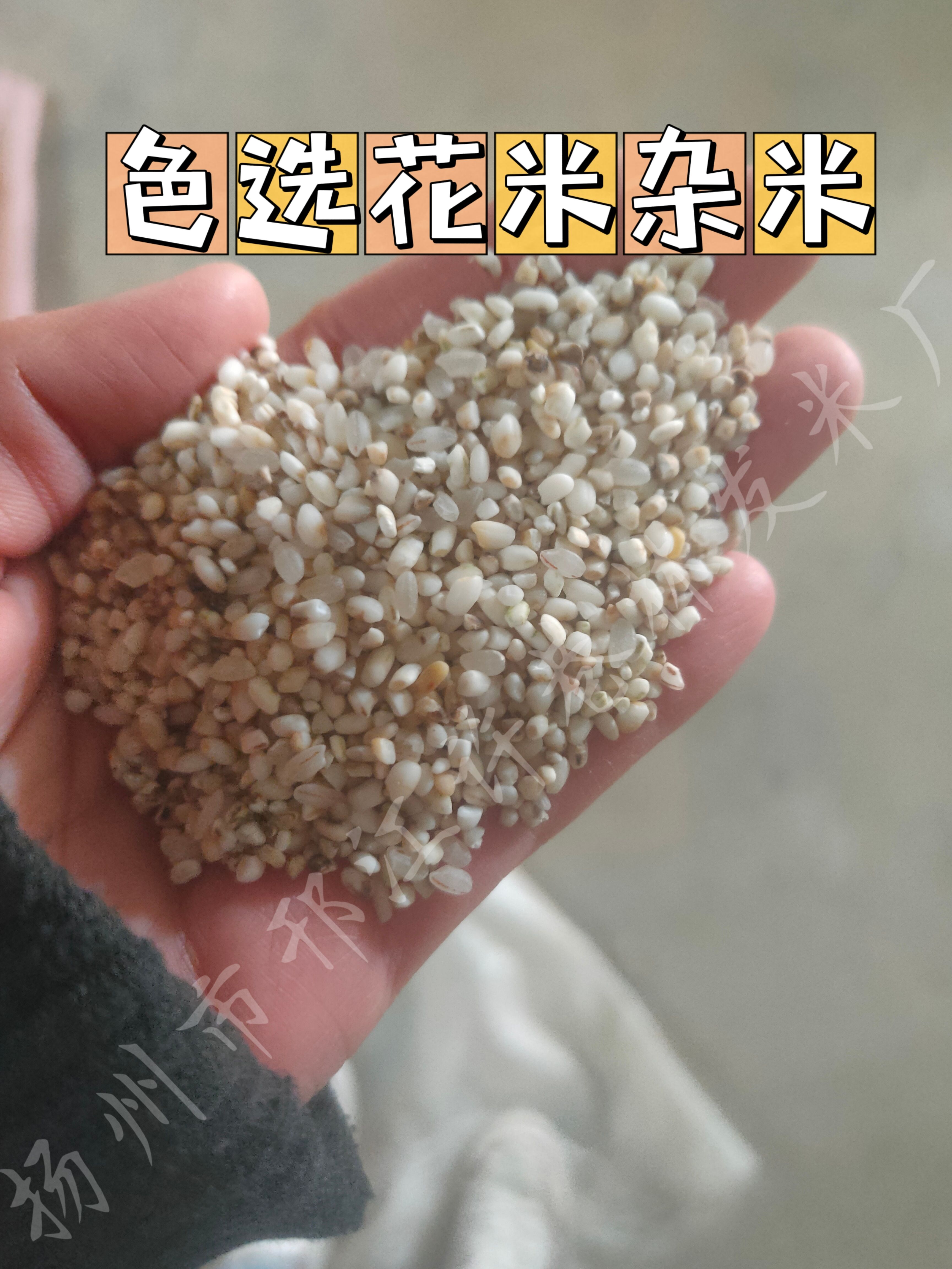 江苏扬州厂商当季新稻谷皮糠大米米皮饲料糠麸米糠