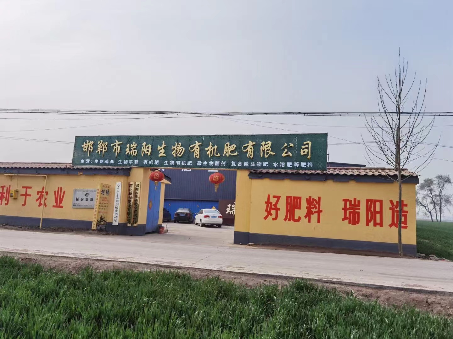吳香梅