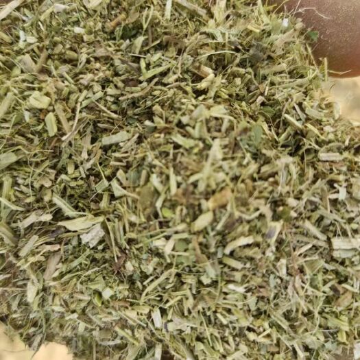 石家庄花生秧