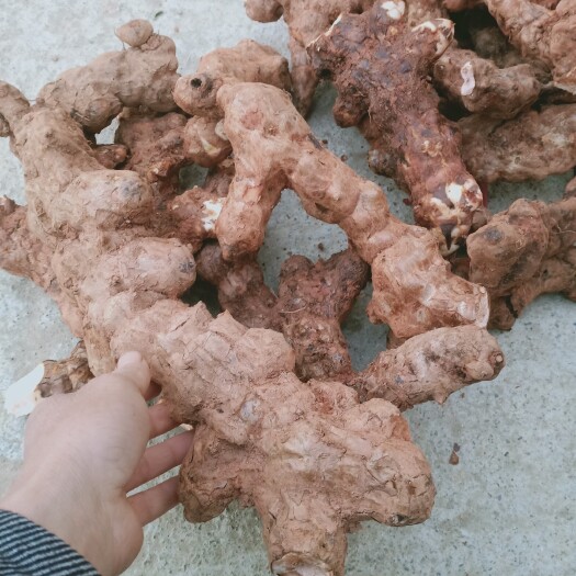 宜章县纯土茯苓