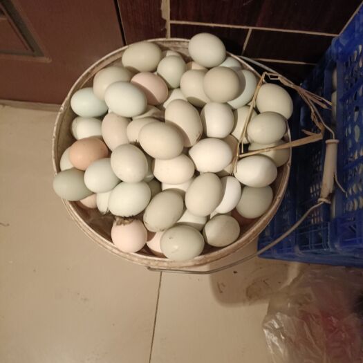大通县散养土鸡蛋