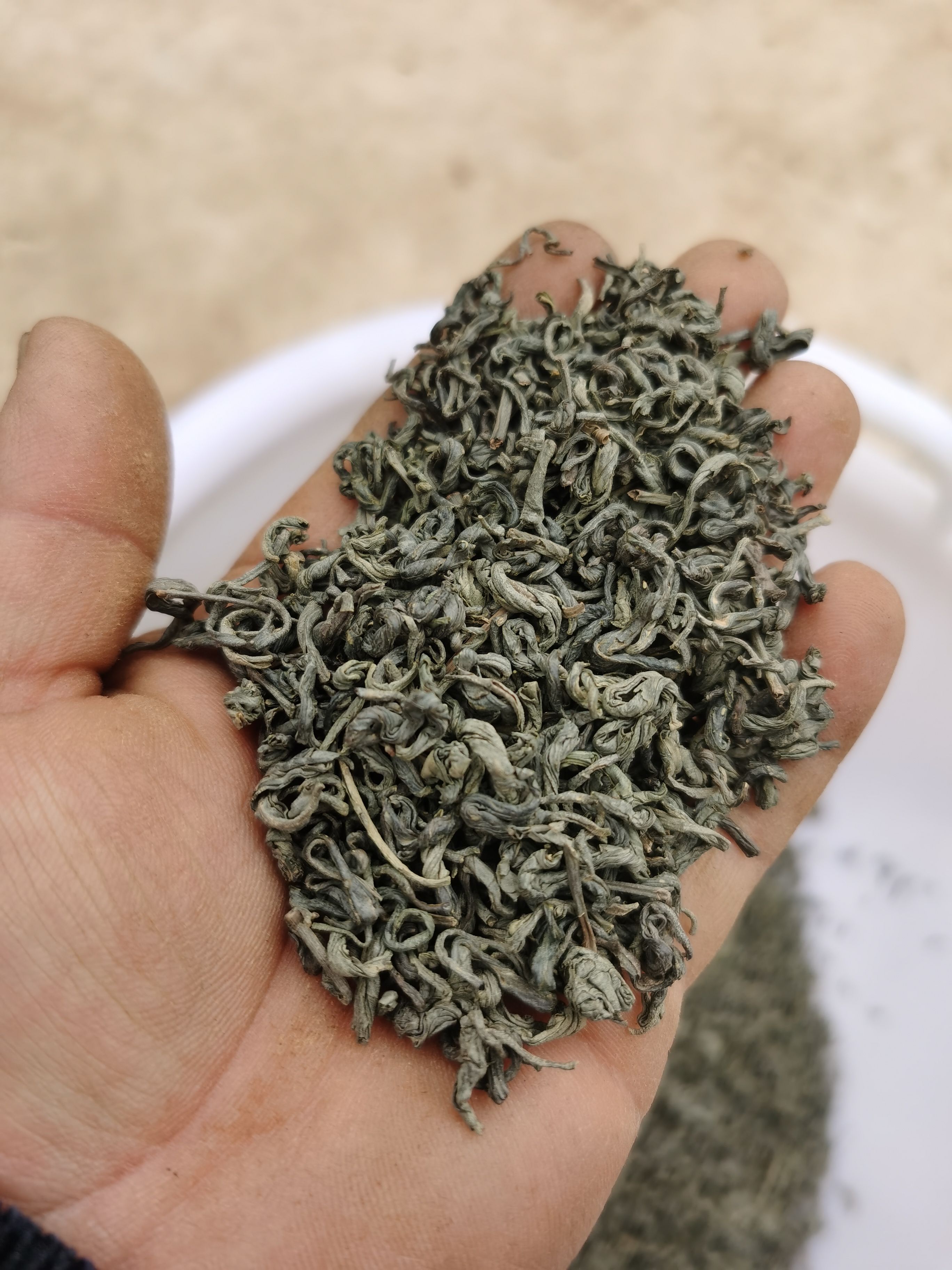 炒青绿茶 香茶 云南绿茶 高香型