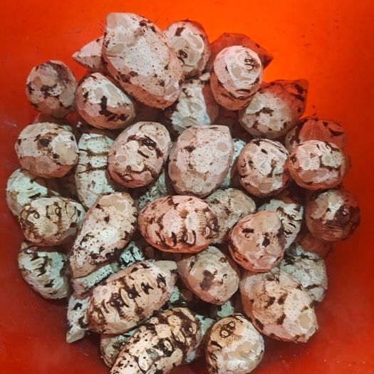 东阳市浙江高含量三棱
