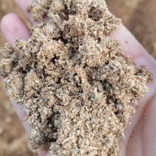 海口海口市云龙食用菌基地菌渣大量出售，欢迎各位老板选购。