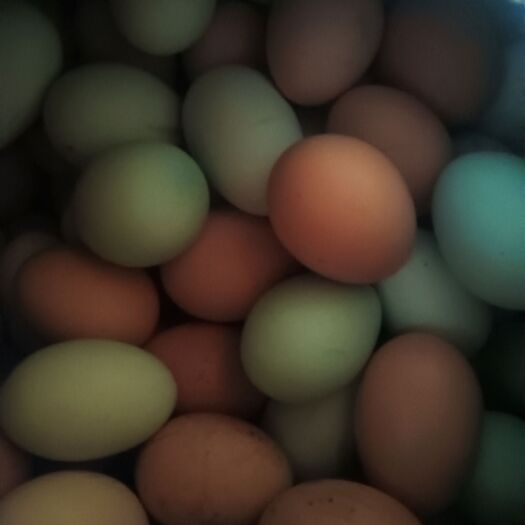 昌图县散养溜达鸡蛋，质量好，日期好，价格实惠