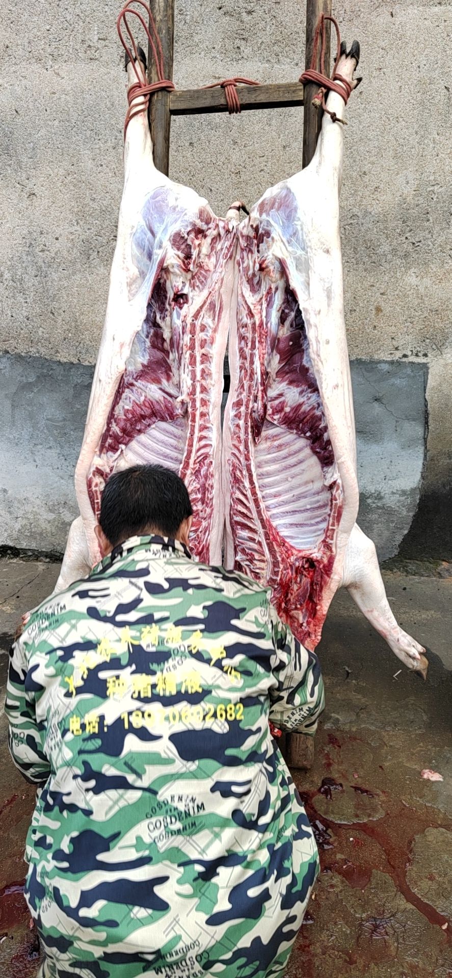 纯粮放养跑山猪肉