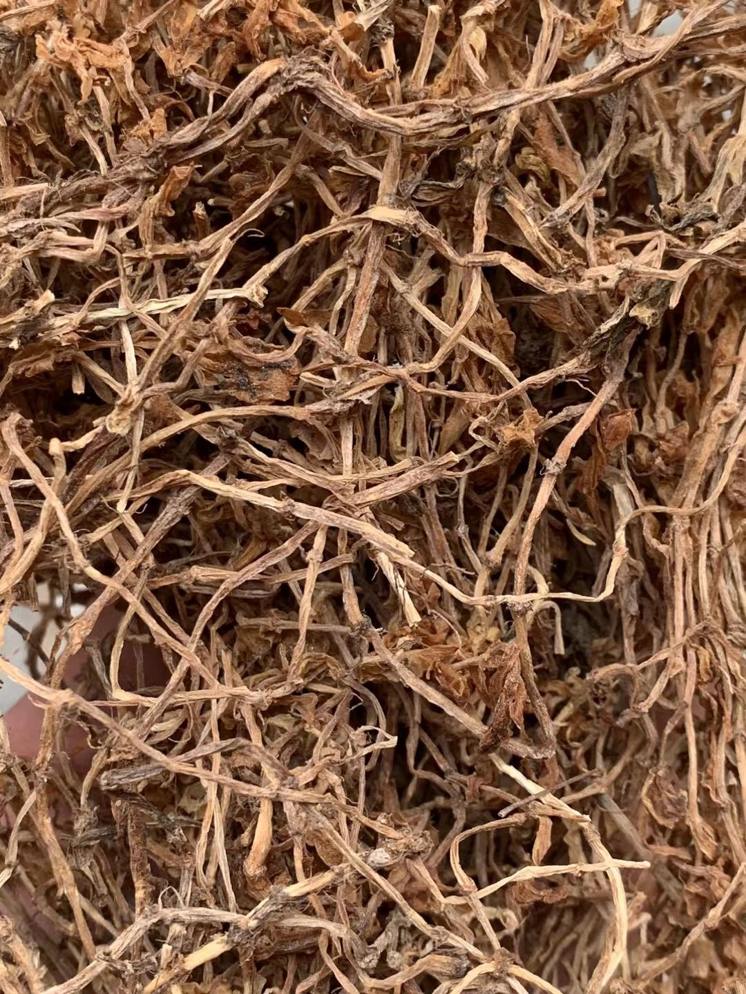 长期供应｛垂盆草｝可批量可零售量大从优【包邮】