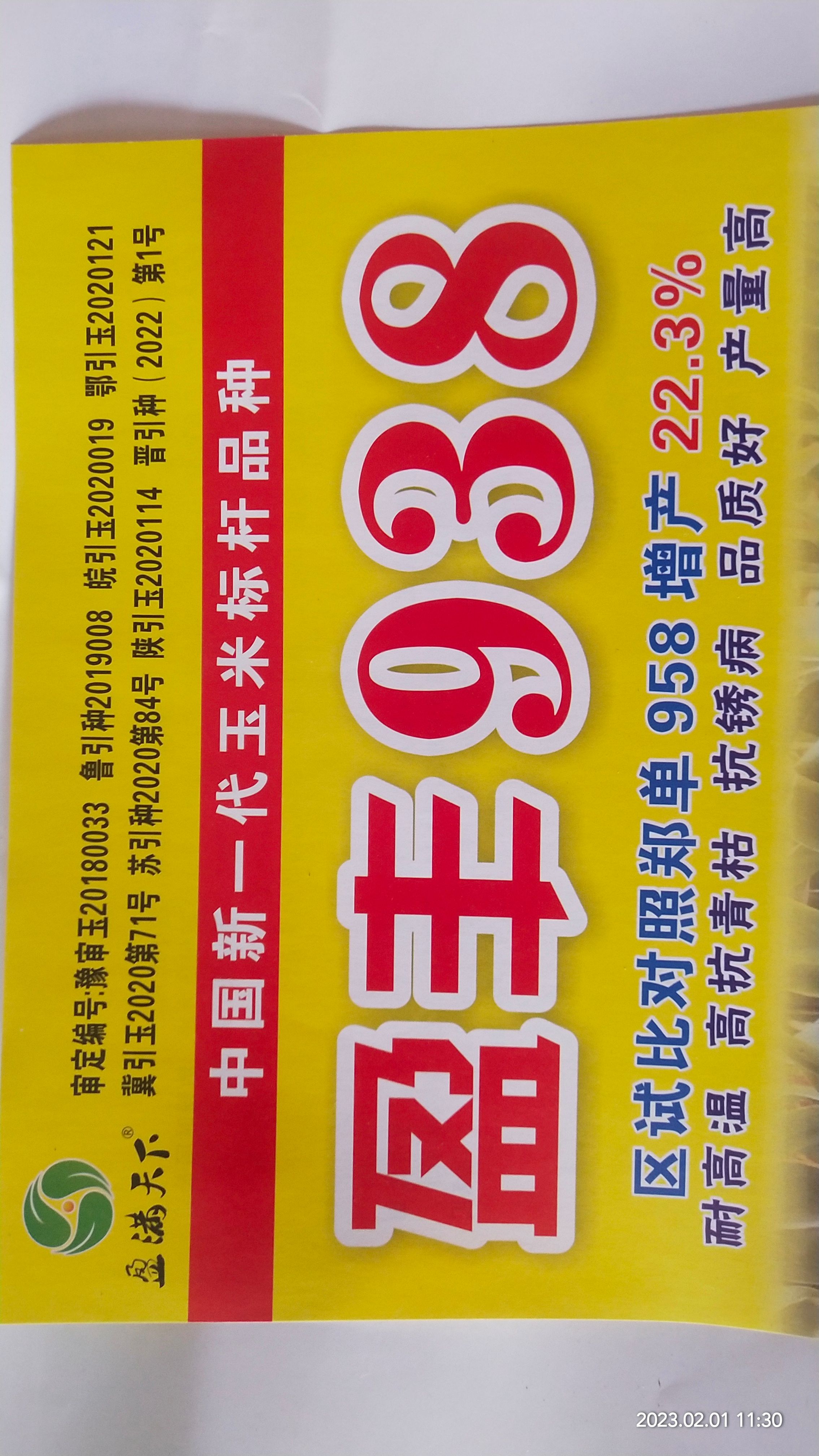 盈丰938黄金粮玉米种，耐高温不花粒大棒抗倒米质好稀稠都能种