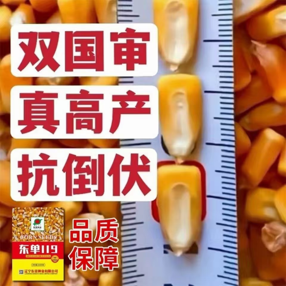 石愛華的農(nóng)貨店