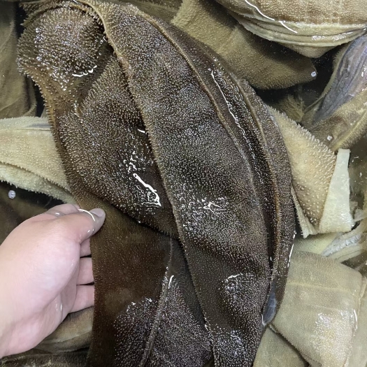 咸阳毛肚