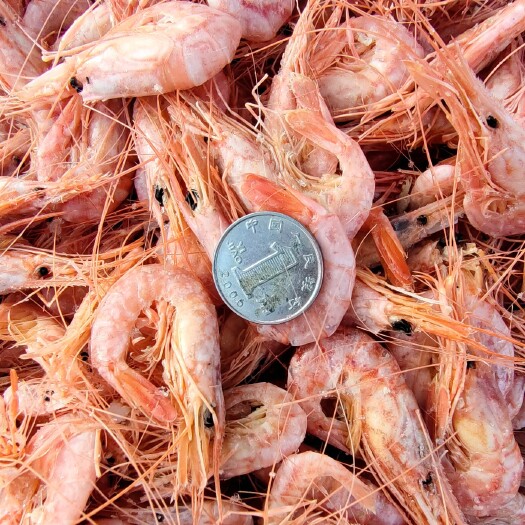 滨州红虾牧丹虾，深海虾！油炸做麻辣虾食材！厂家直供无差价