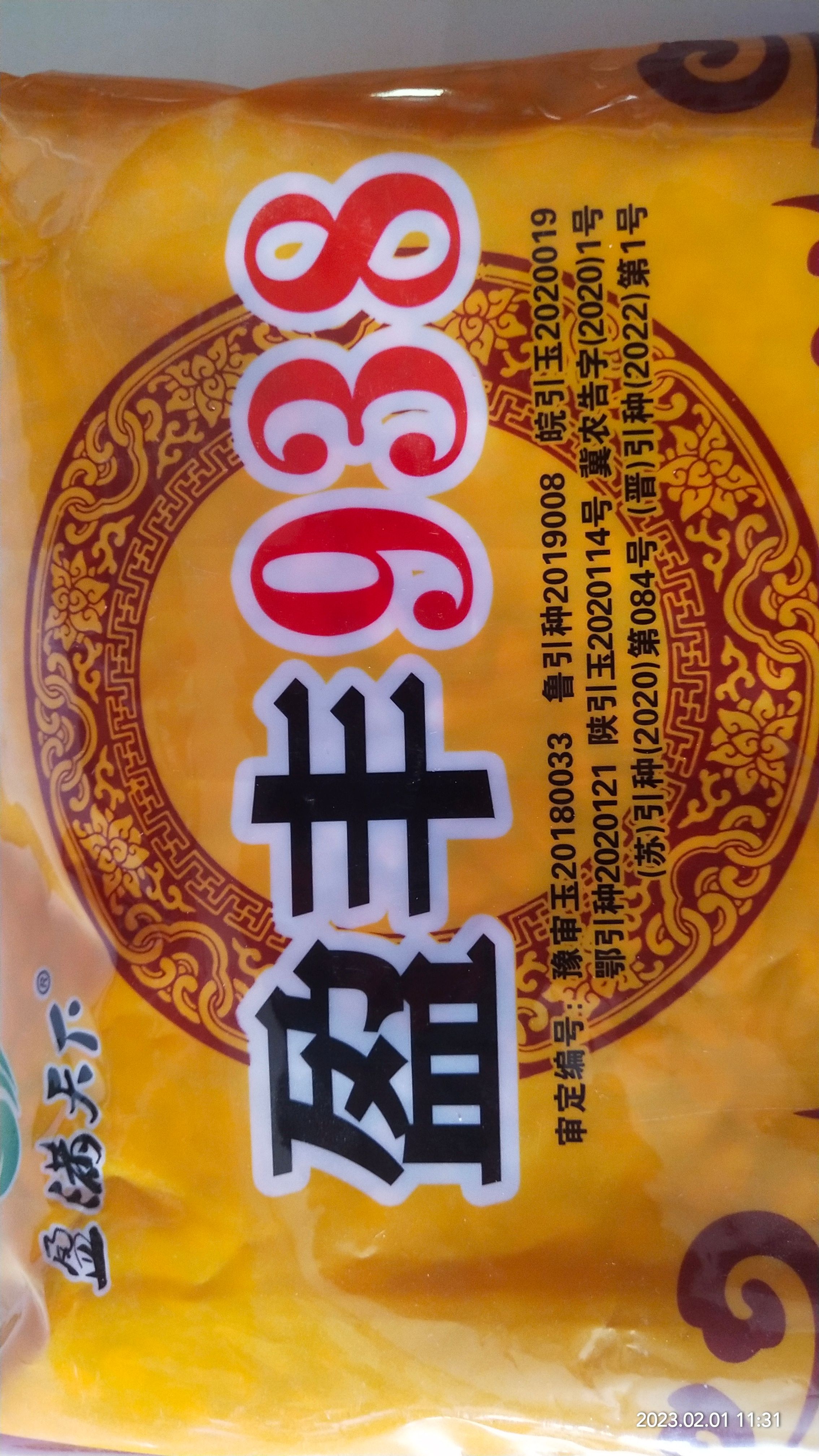 盈丰938黄金粮玉米种，耐高温不花粒大棒抗倒米质好稀稠都能种