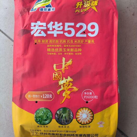 灯塔市宏华529  矮杆大棒，米质好，台风也不到！玉米种/苞米种