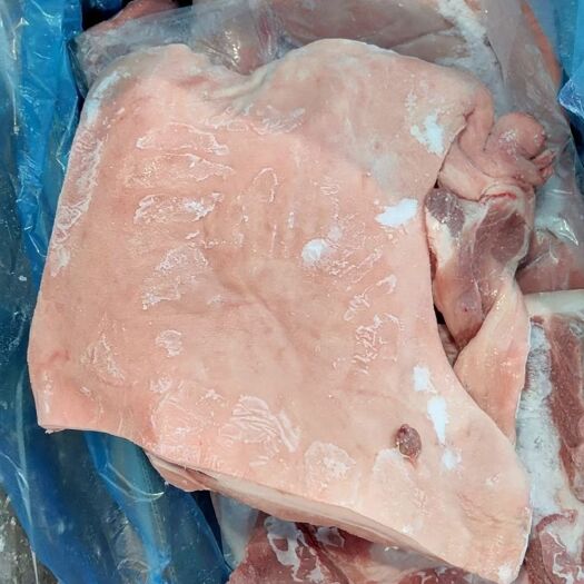 商丘肥猪前后上肉