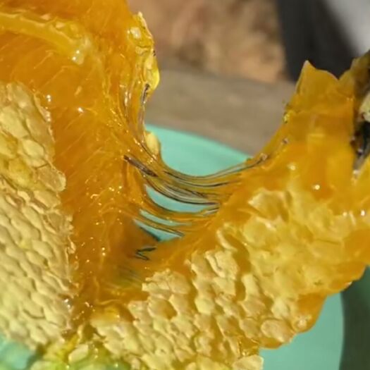 成都蜂蜜，蜜汁晶莹剔透 可以直接嚼着吃 花香甜而不腻，