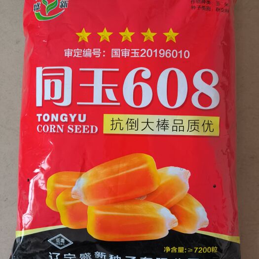 灯塔市同玉608