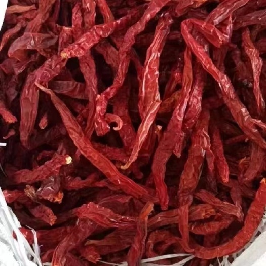 湘潭二荆条