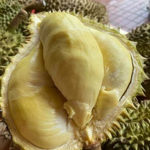 凭祥市金枕榴莲3级果