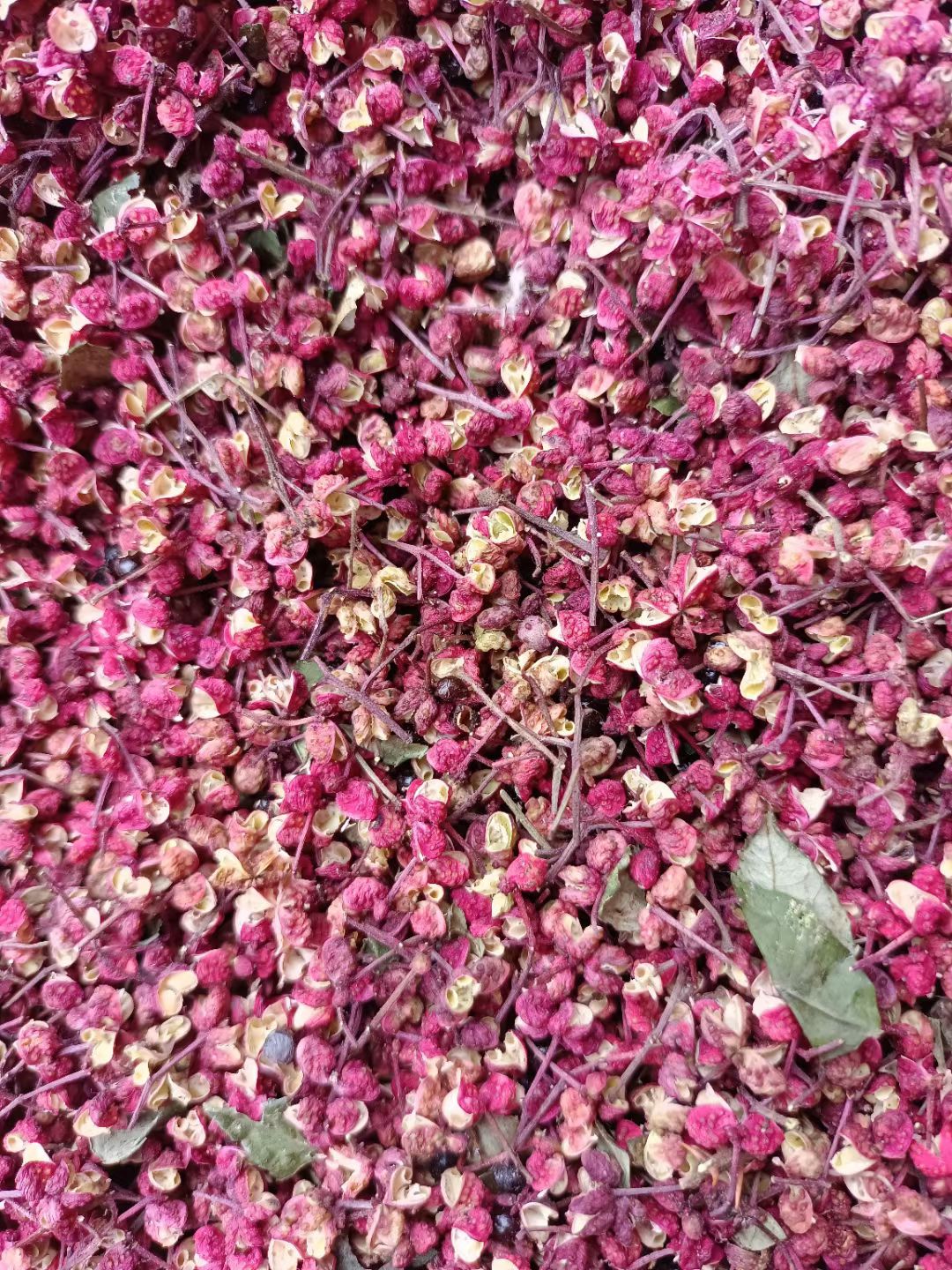 农家自种鲜花椒，色面红，味麻辣心黑叶子麻等特点，