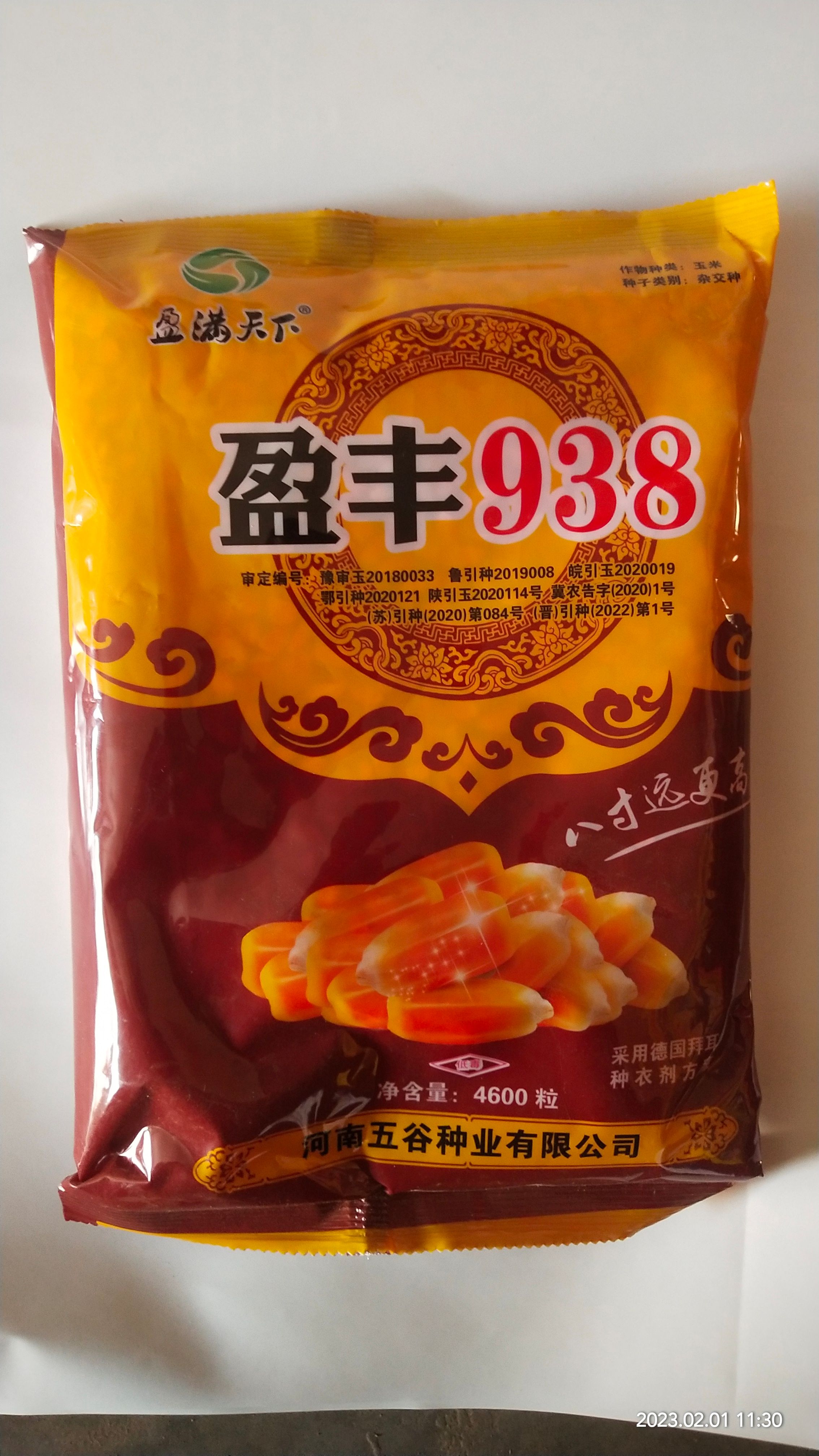盈丰938黄金粮玉米种，耐高温不花粒大棒抗倒米质好稀稠都能种