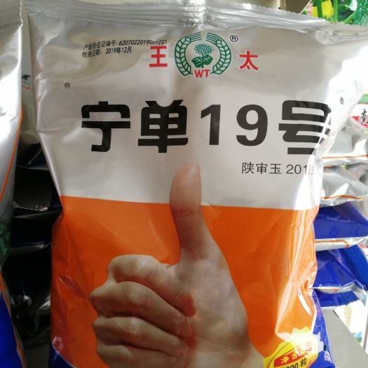 宁单19号 棒大轴细 粒长 产量好 抗旱