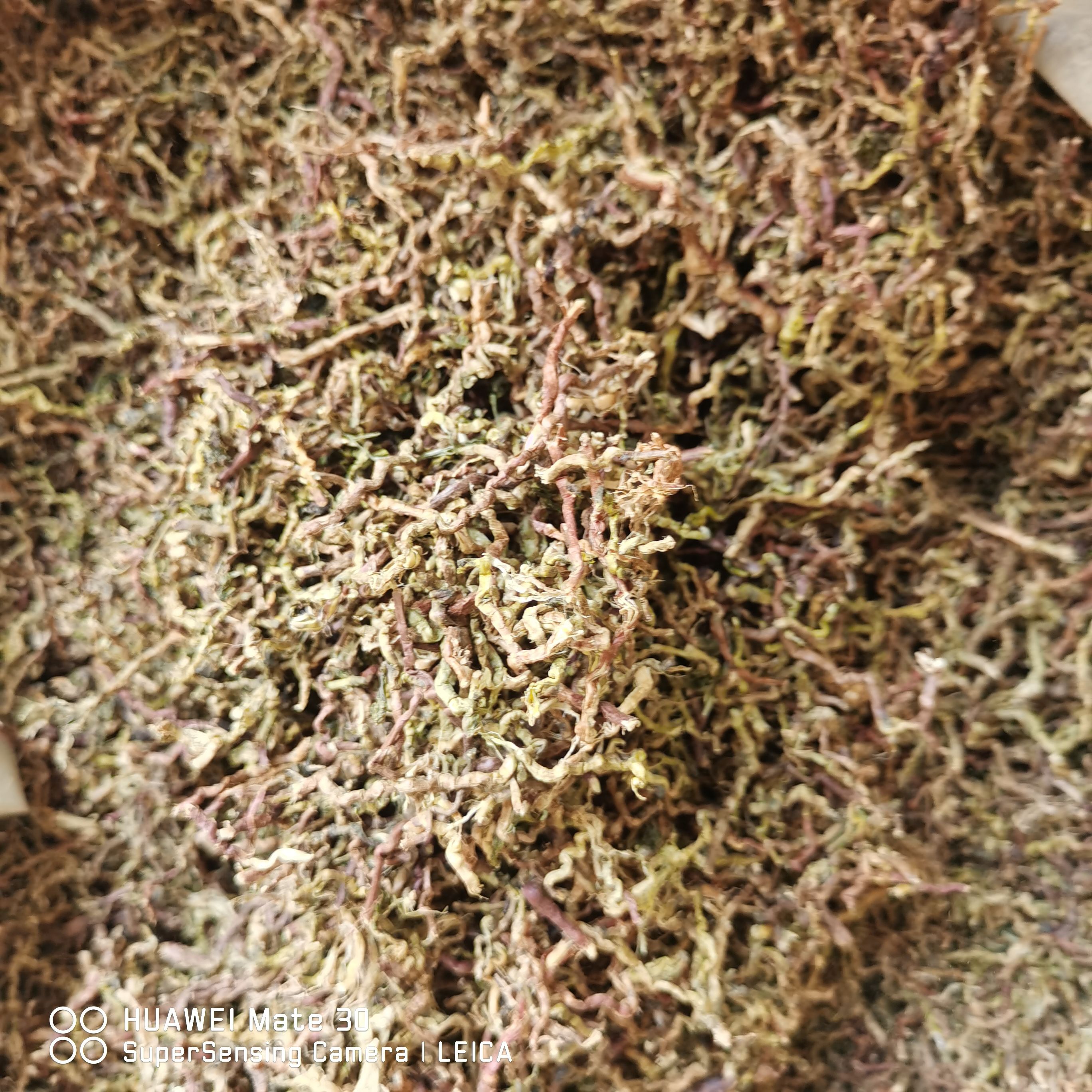 乌龙草根茶，江湖地摊展销会农村赶集货源批发