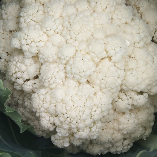 祁东县有机花菜，现砍现买，货源充足大量上市，保质保量要货的老板快来