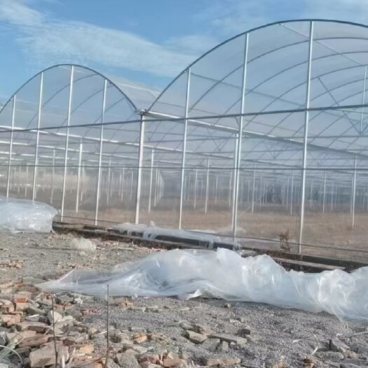 无锡简易薄膜连栋大棚。果树避雨棚，联动温室大棚