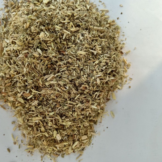 石家庄花生秧