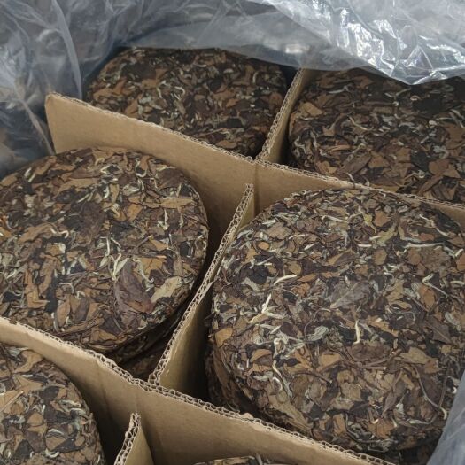福鼎市老白茶