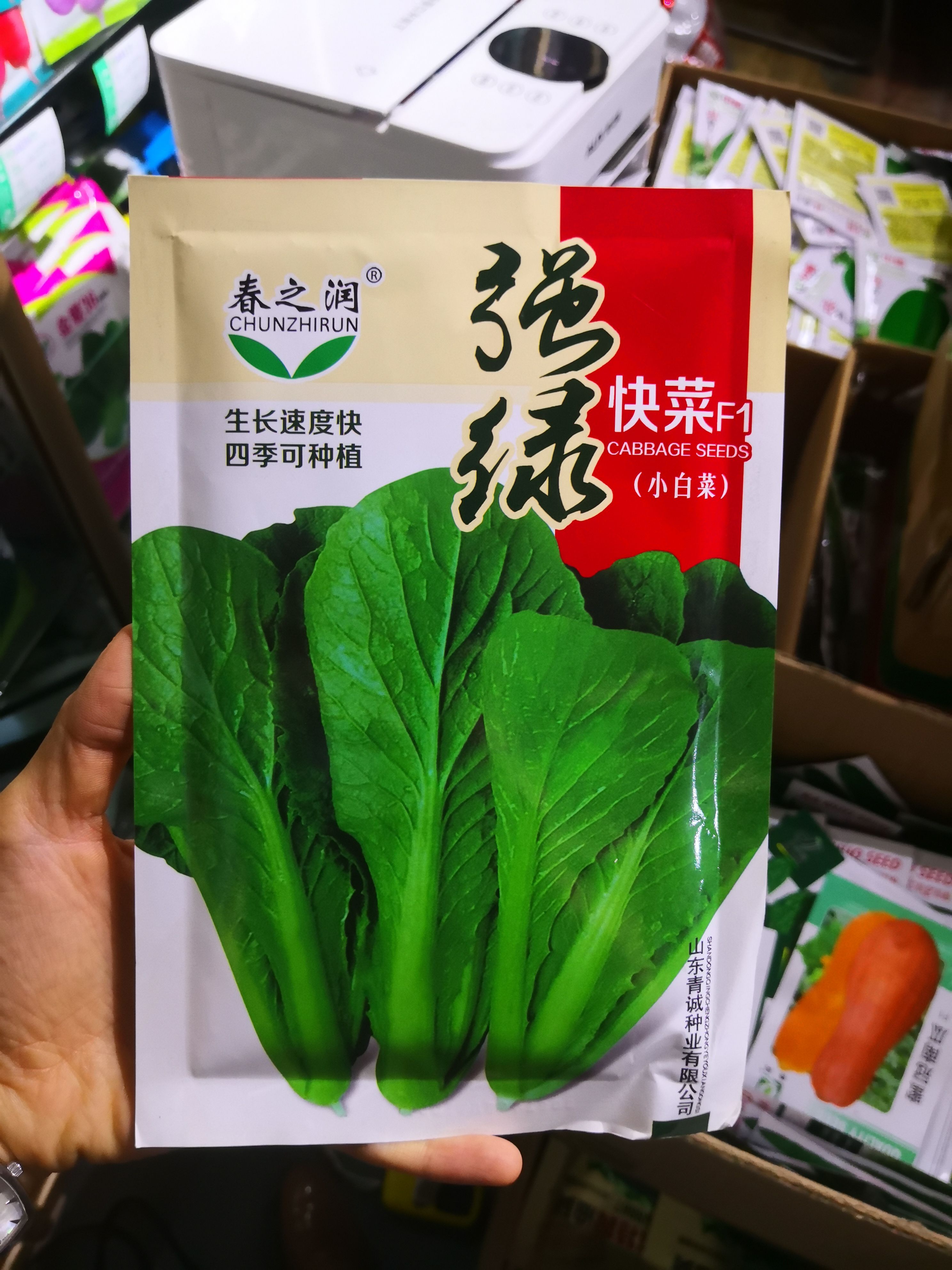 西安上海青种子  小白菜种子快菜种子四季小白菜种子