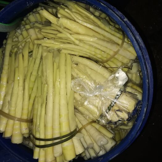 梧州上新春笋大优惠