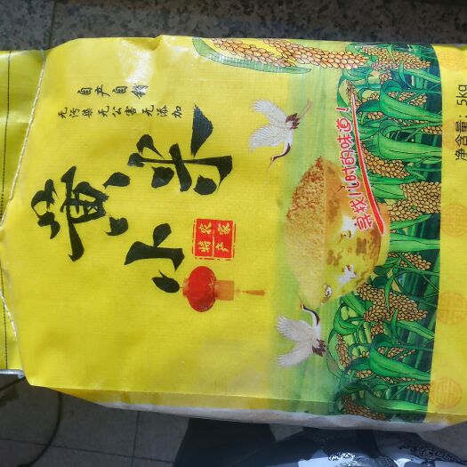 建平县黄小米