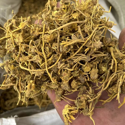 成都黄芽茶  雪山黄龙草头茶，龙须石斛，金龙石斛！