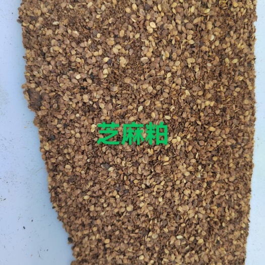 巨鹿县芝麻粕，蛋白43以上